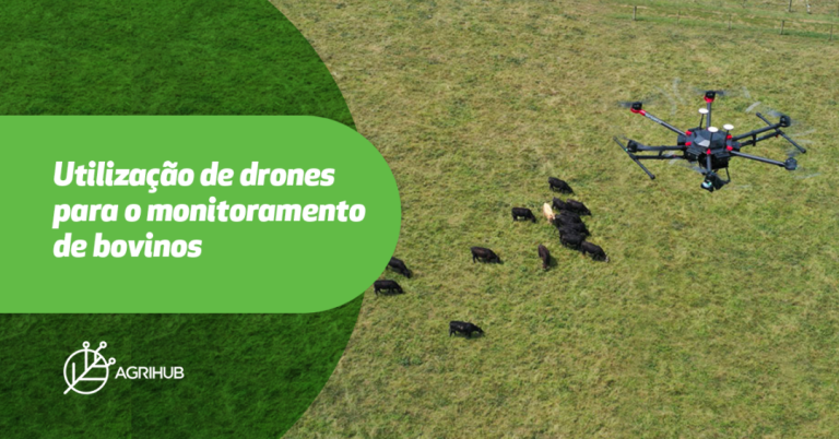 utilizacao-de-drones-para-o-monitoramento-de-bovinos